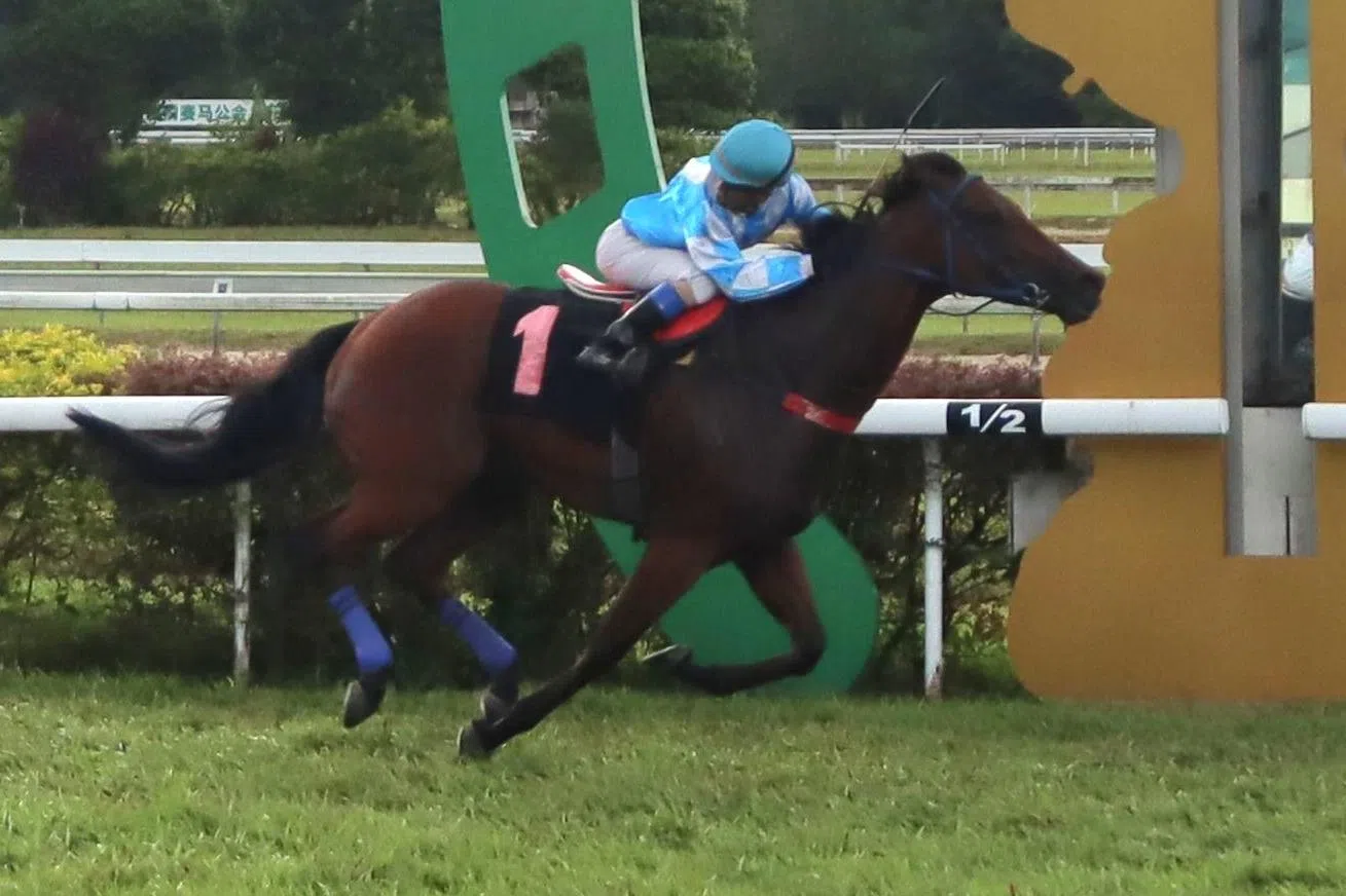 Super Salute bounces back to his best in Ipoh